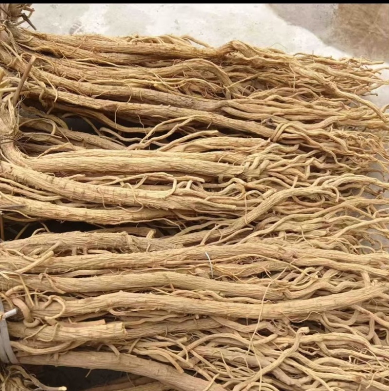 防风精品防风防风甘肃产地直发规格齐全批发零售