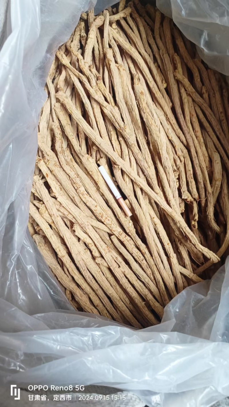 防风精品防风防风甘肃产地直发规格齐全批发零售
