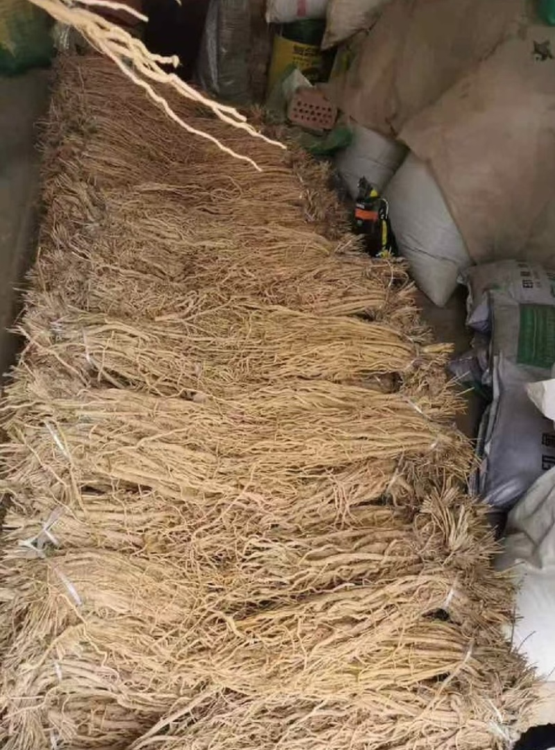 防风精品防风防风甘肃产地直发规格齐全批发零售