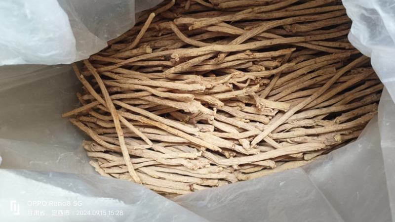 防风精品防风防风甘肃产地直发规格齐全批发零售