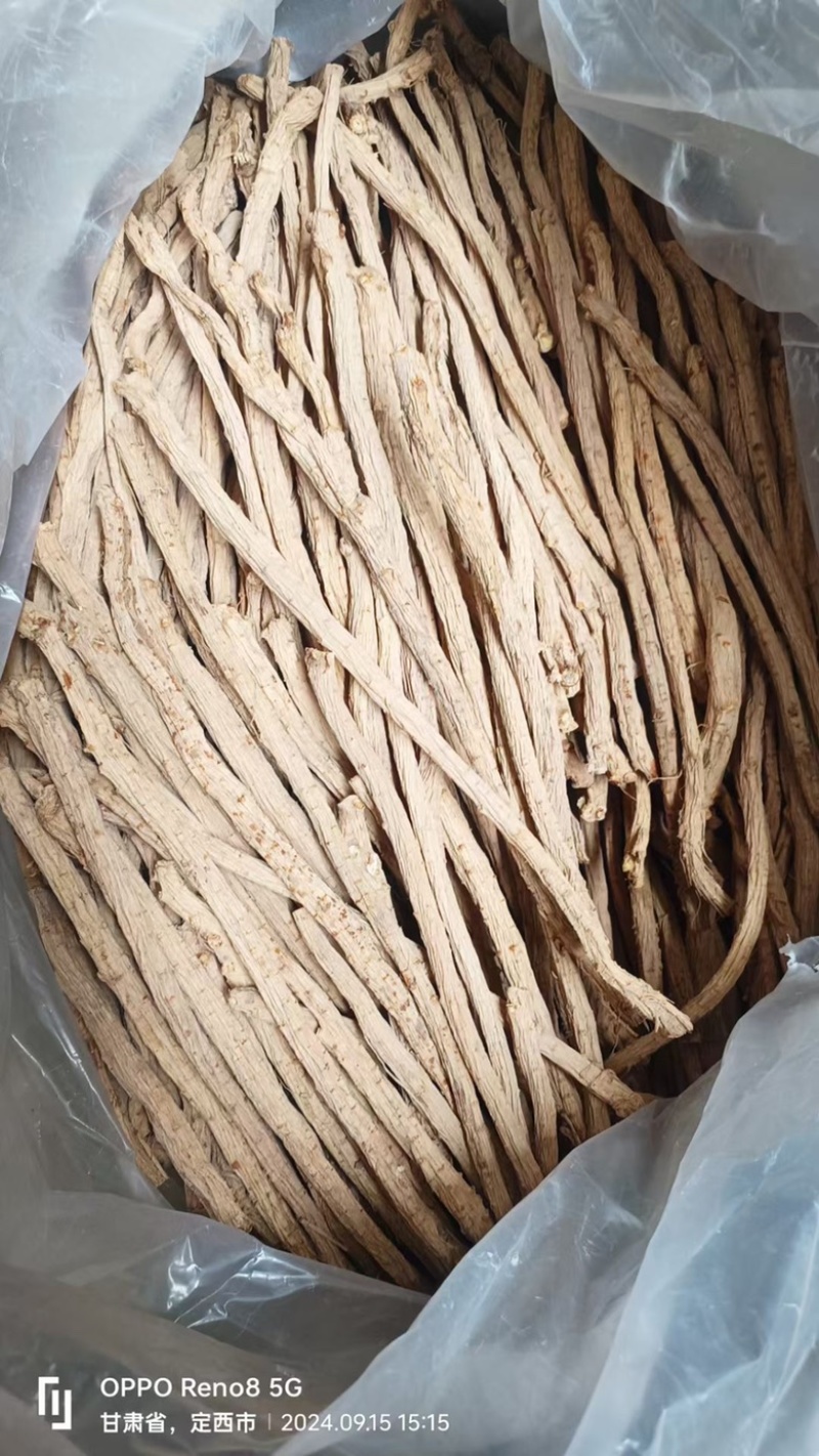 防风精品防风防风甘肃产地直发规格齐全批发零售