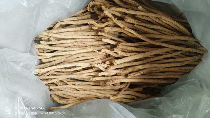 防风精品防风防风甘肃产地直发规格齐全批发零售