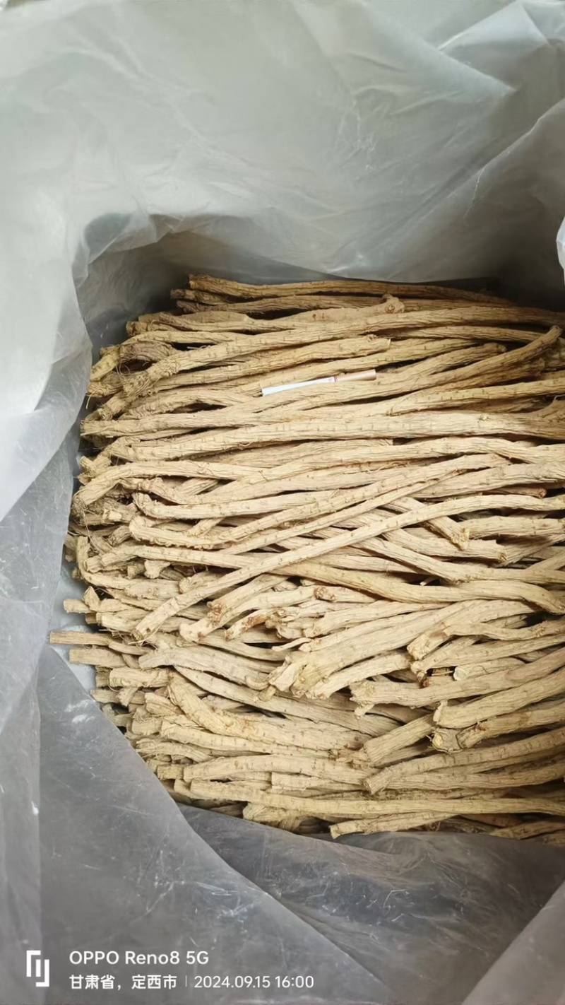 防风精品防风防风甘肃产地直发规格齐全批发零售