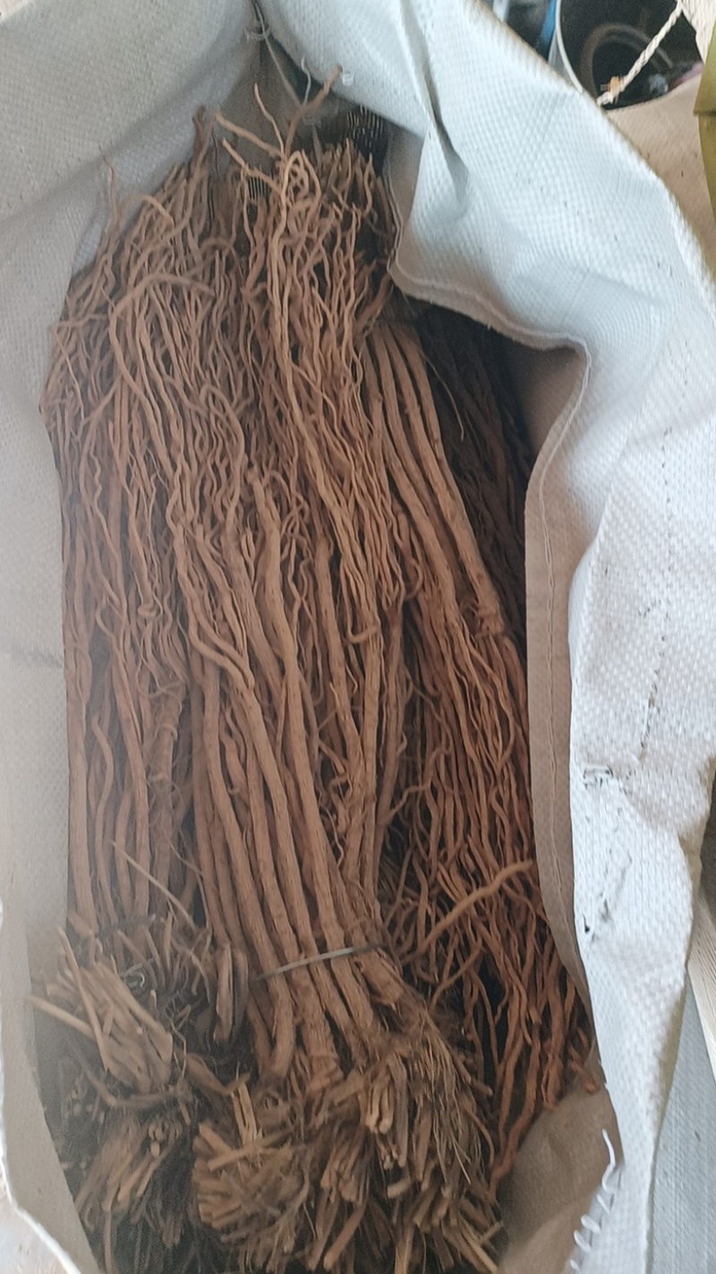 防风精品防风防风甘肃产地直发规格齐全批发零售