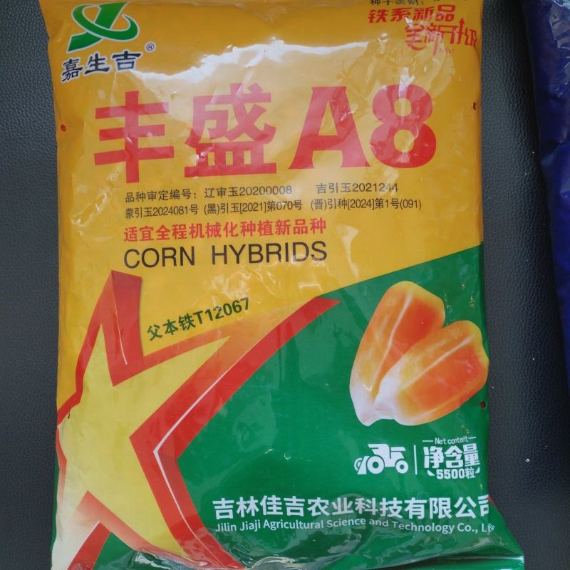 丰盛A8货源充足，专做玉米种子追求品质