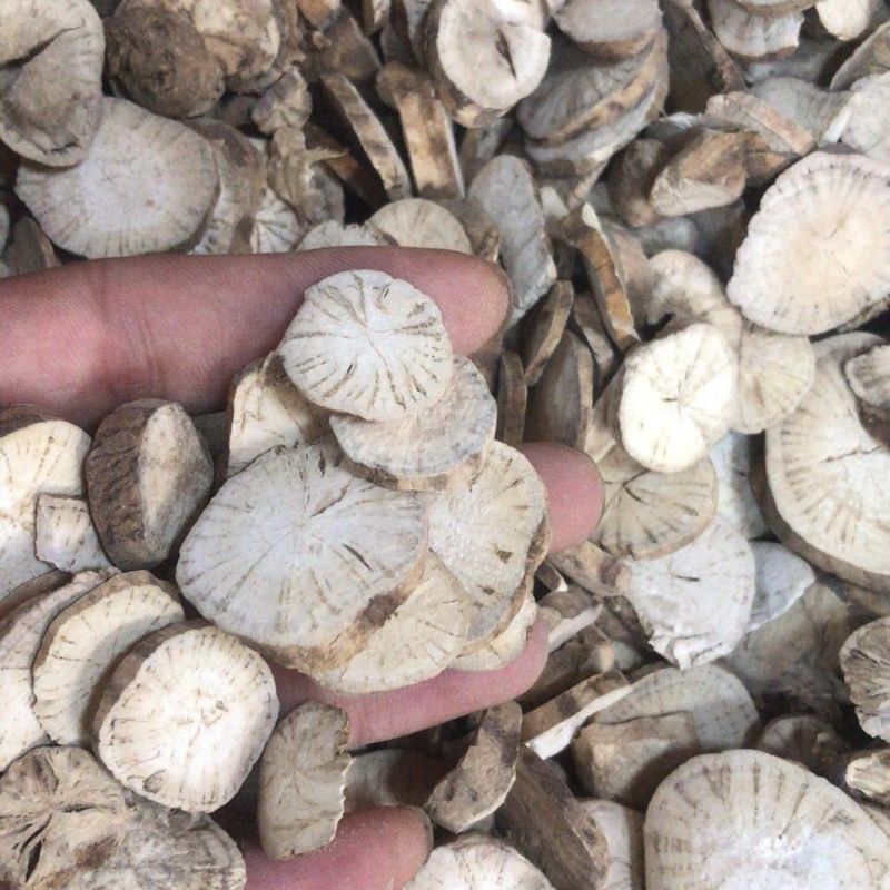 防己中药材