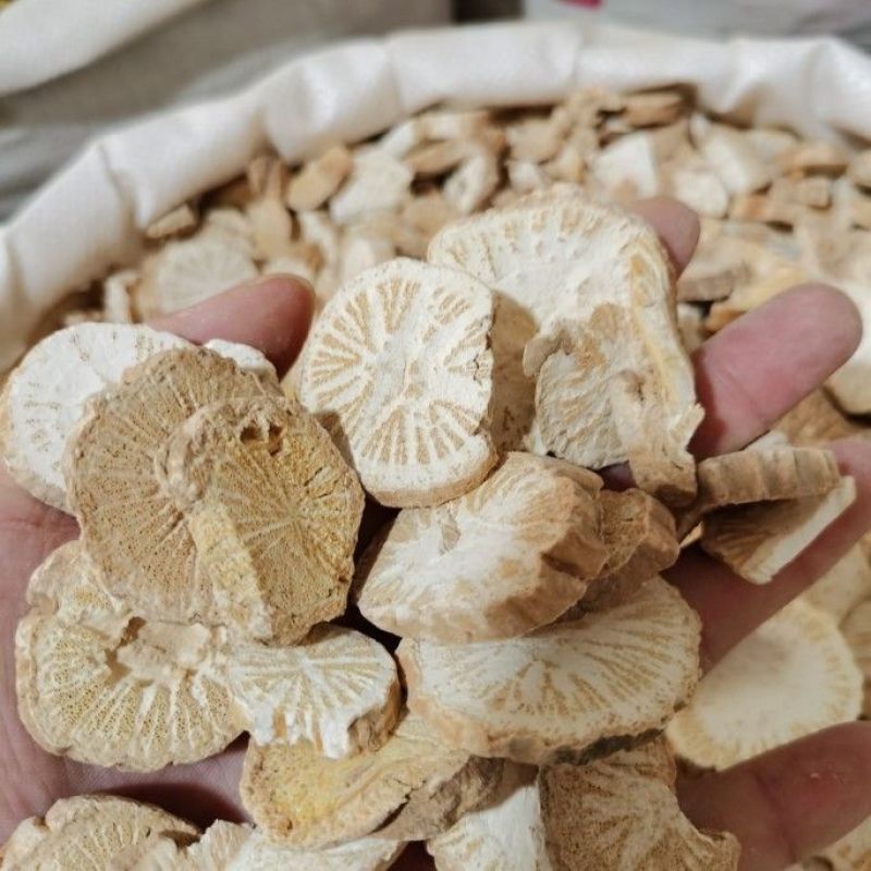 防己中药材