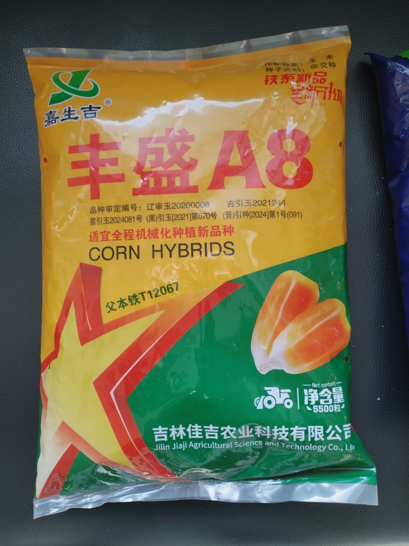 丰盛A8货源充足，专做玉米种子追求品质
