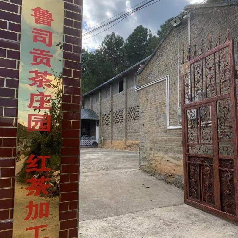 茶红茶鲁司贡茶量大从优一手货源欢迎咨询
