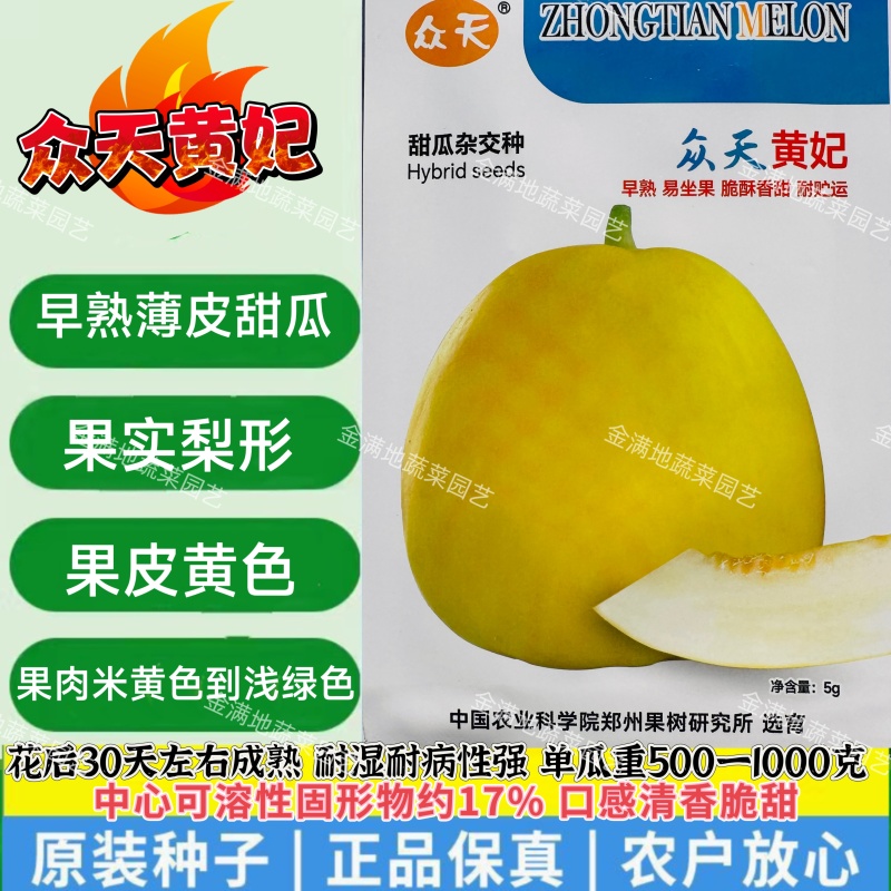 众天黄妃甜瓜种子薄皮早熟脆酥香甜梨形黄皮香瓜种籽脆甜水果