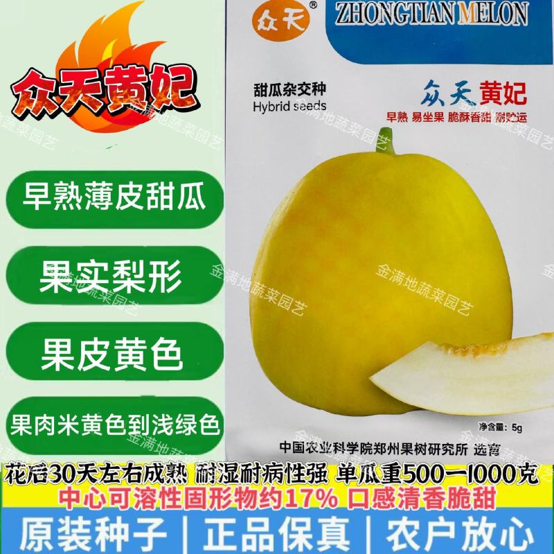 众天黄妃甜瓜种子薄皮早熟脆酥香甜梨形黄皮香瓜种籽脆甜水果