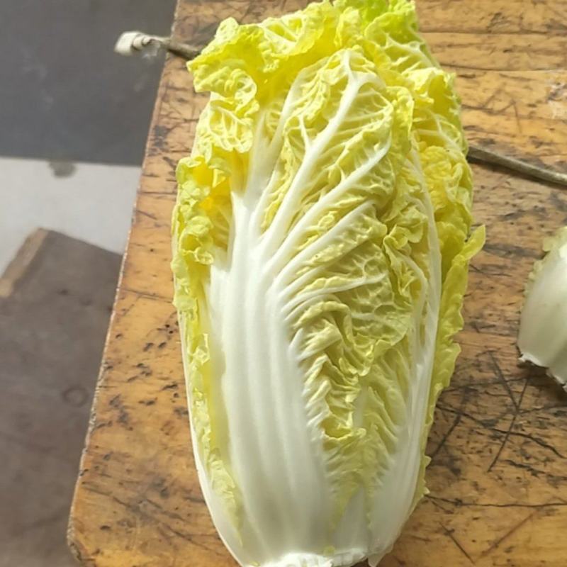 娃娃菜大量上巿了