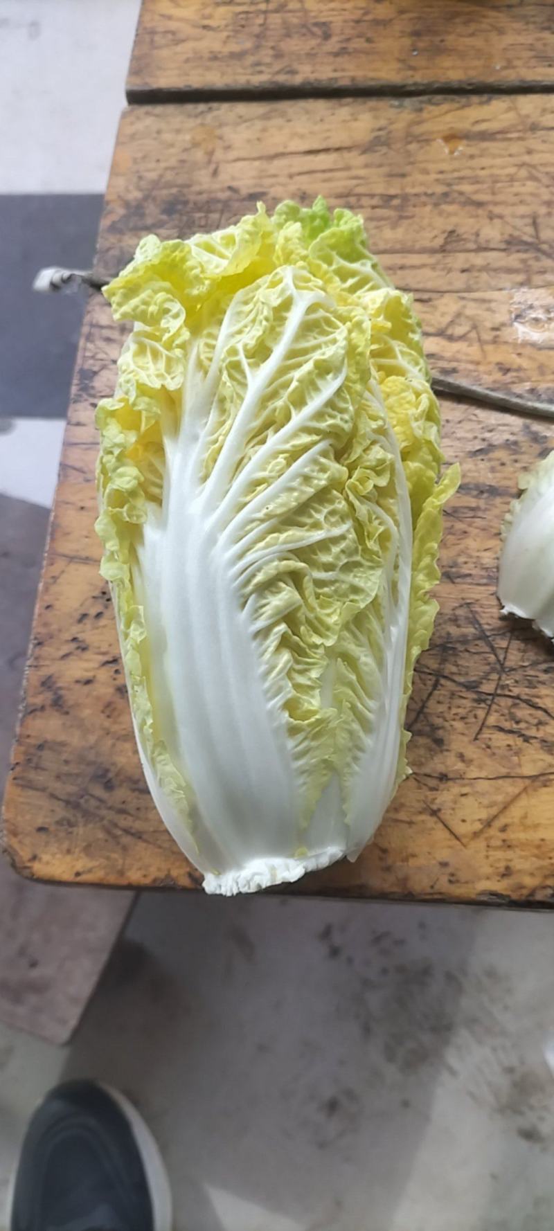 娃娃菜大量上巿了