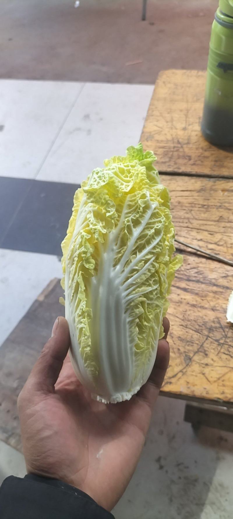娃娃菜大量上巿了