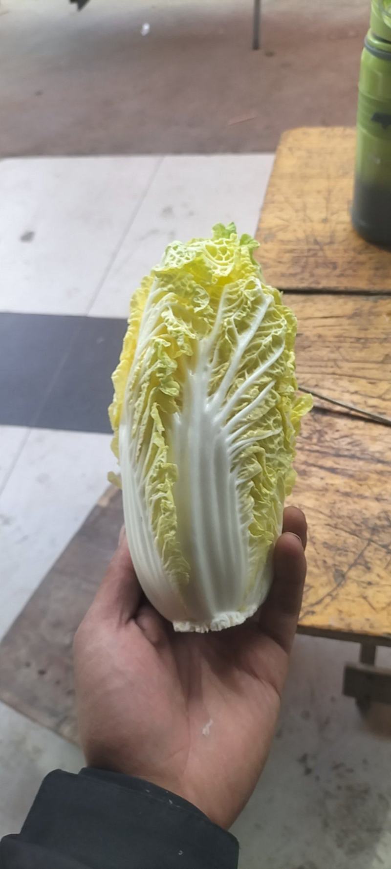 娃娃菜大量上巿了
