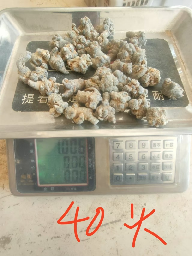 新鲜三七上市一手货源价格实惠无添加品质保证