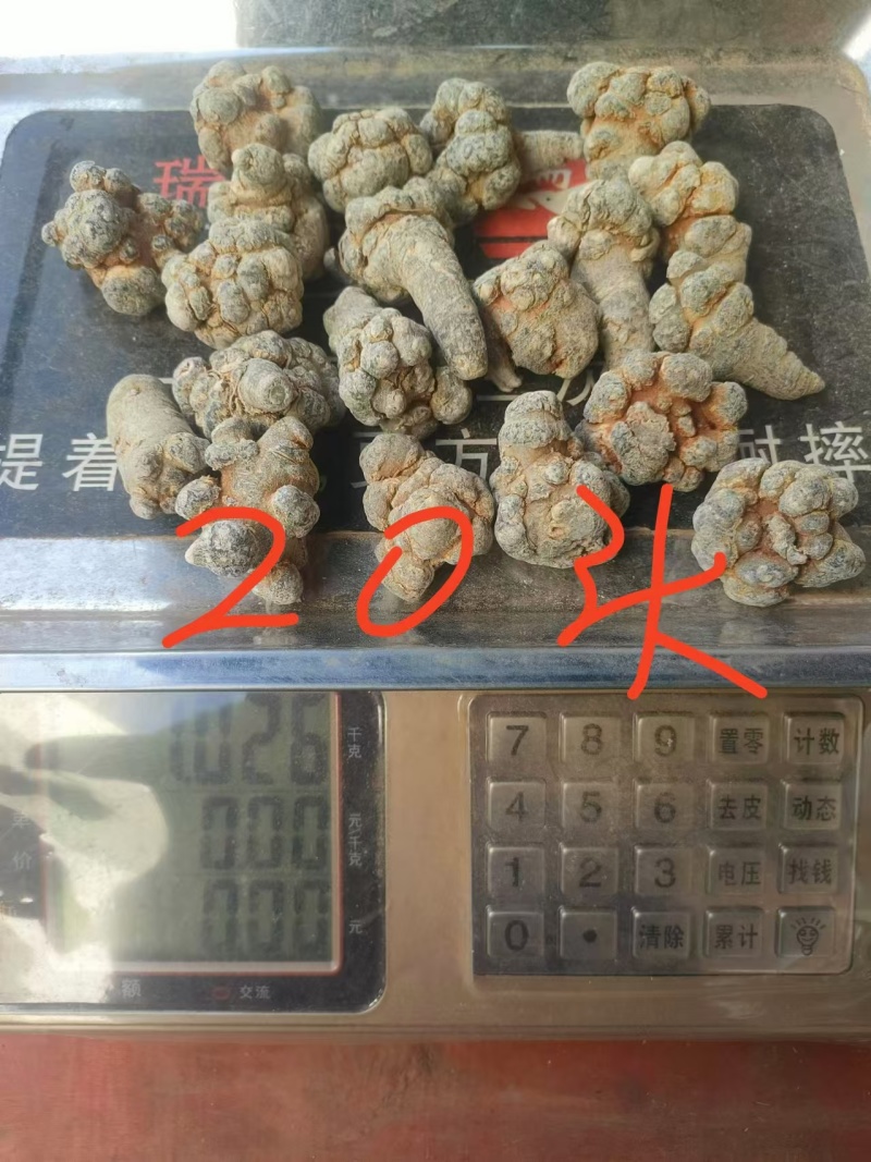 新鲜三七上市一手货源价格实惠无添加品质保证