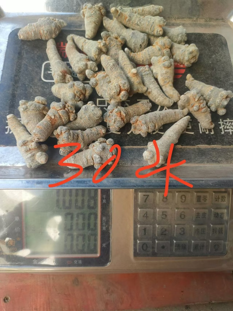 新鲜三七上市一手货源价格实惠无添加品质保证