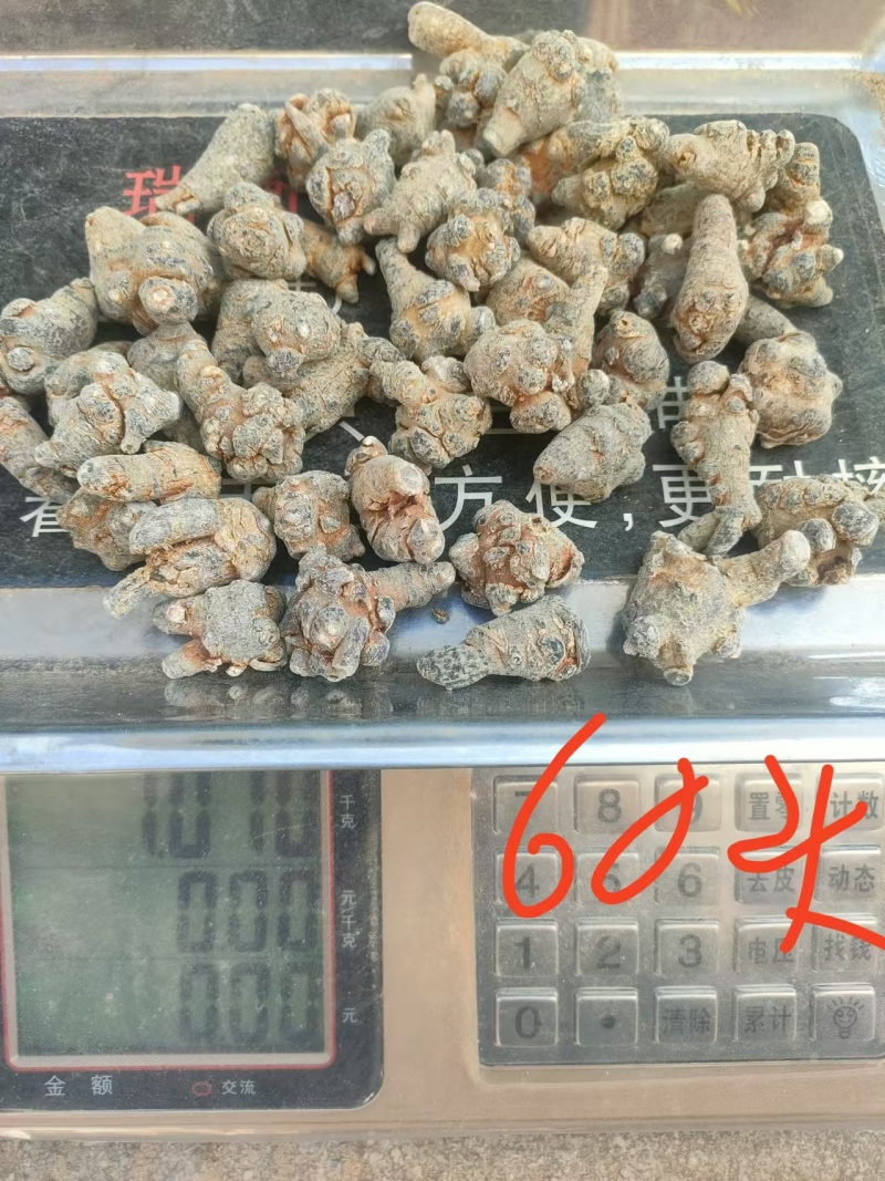 新鲜三七上市一手货源价格实惠无添加品质保证