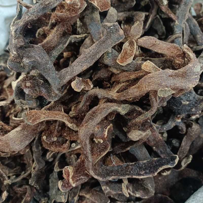 骨碎补崖姜岩连姜爬岩姜毛姜肉碎补