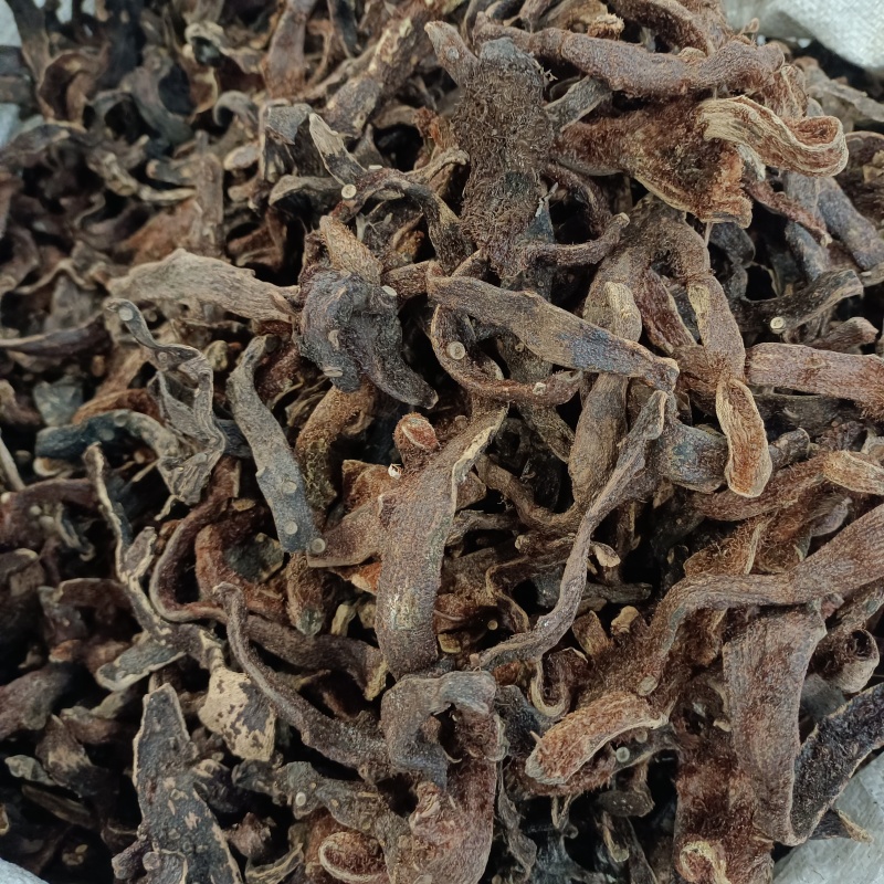 骨碎补崖姜岩连姜爬岩姜毛姜肉碎补