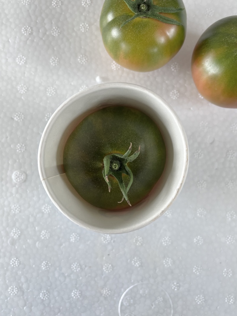 草莓番茄