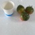 草莓番茄