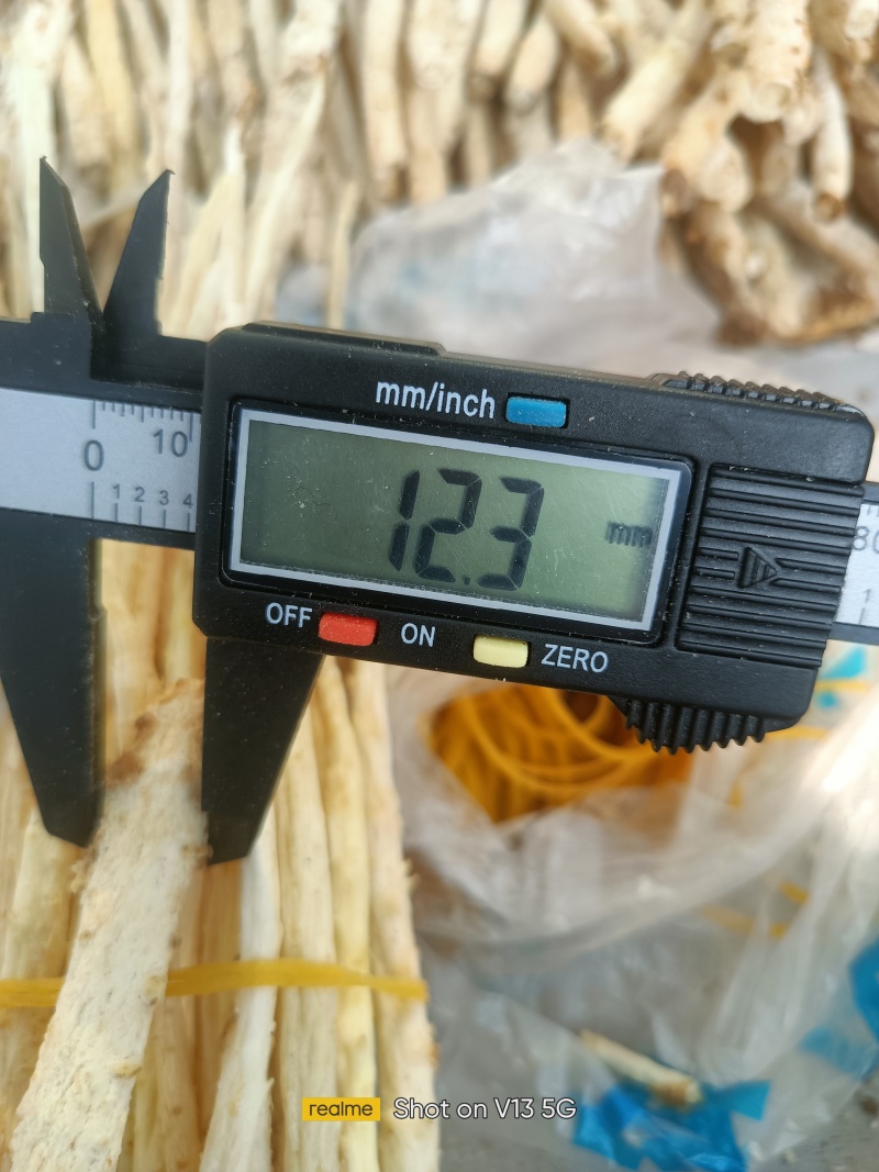 去头捆把无硫北沙参。中细自然白色，纯干买家放心吃了安心