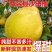 正宗容县沙田柚纯甜不酸沙田柚白心柚子新鲜水果