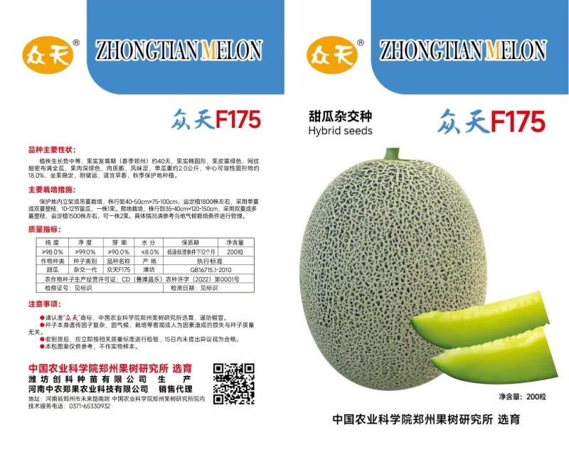 众天F175网纹甜瓜种子高糖绿肉网纹蜜瓜种子椭圆形哈密瓜