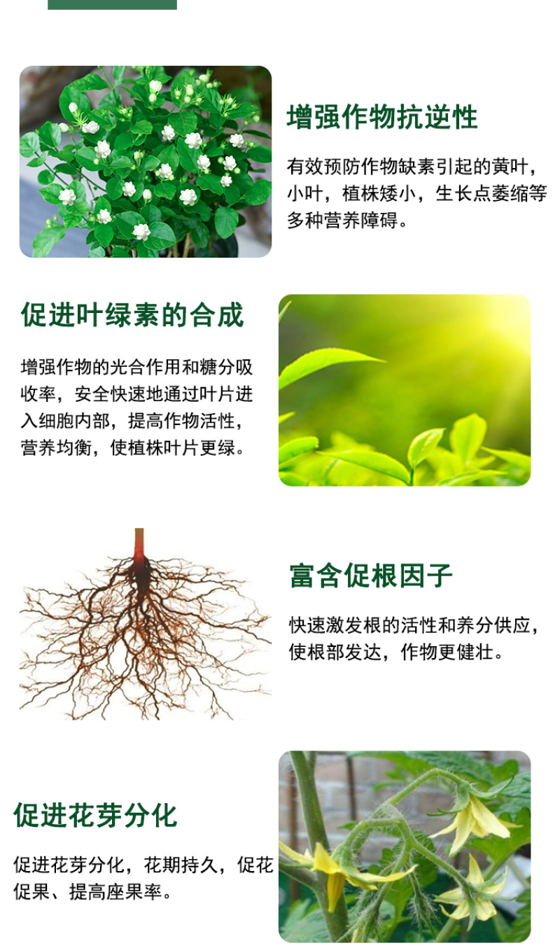 氨基酸水溶肥氨基酸叶面肥一喷绿生根肥