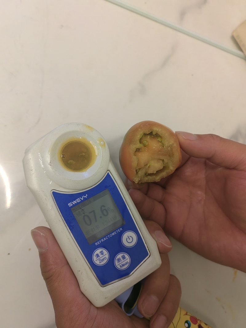 草莓番茄