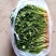 精品香菜中叶铁杆青香菜品质保证诚信经营对接市场商超
