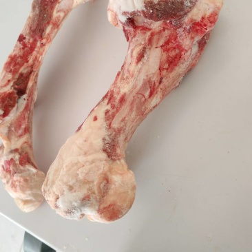 西门塔尔黄牛大棒骨