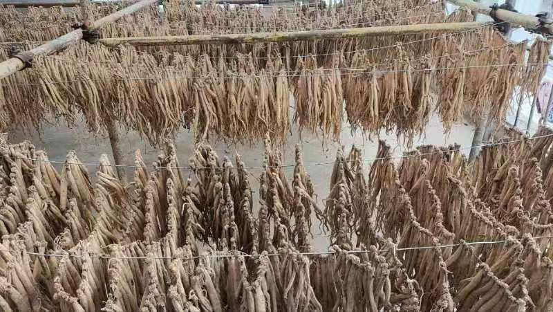 岷县精品党参白条党参产地直发价格合理欢迎选购