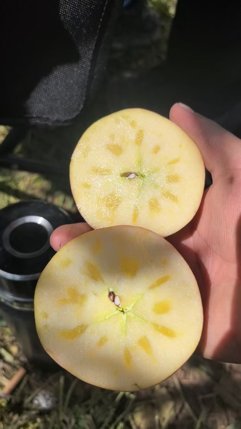 盐源丑苹果货不多了，