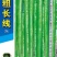 粗长线大果早熟条椒线椒种子高产卖相好一袋一千粒包邮