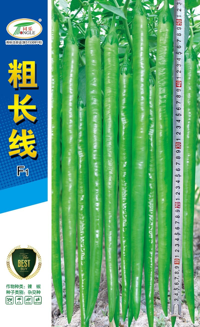 粗长线大果早熟条椒线椒种子高产卖相好一袋一千粒包邮