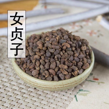 女贞子天然纯新货中药材