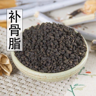 补骨脂中药材天然纯新货干净饱满补骨脂粉破故纸胡韭
