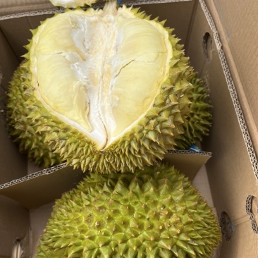 越南金枕榴莲进口水果大箱6头A级