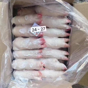 猪蹄24-27