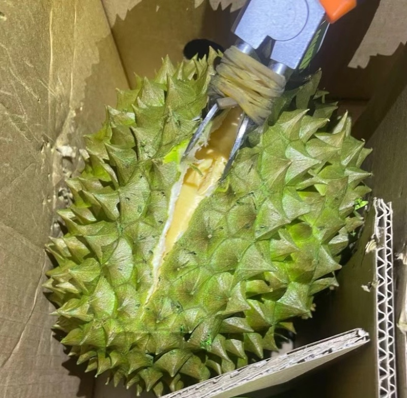 菲律宾黄金普雅榴莲新鲜进口水果小箱3-5头