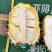 菲律宾黄金普雅榴莲新鲜进口水果小箱3-5头