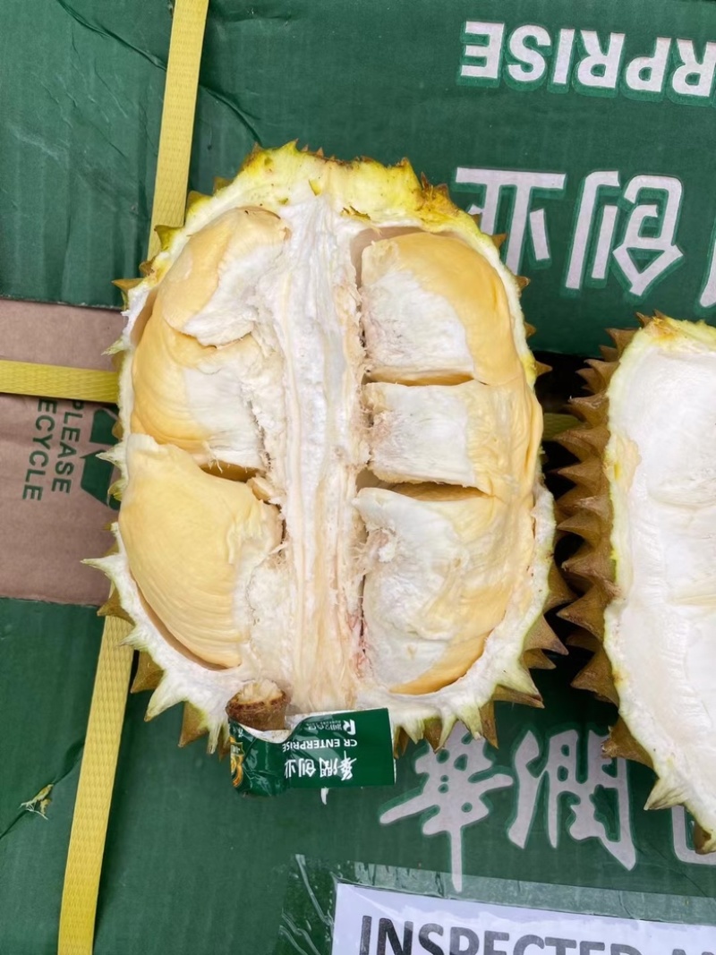 菲律宾黄金普雅榴莲新鲜进口水果小箱3-5头