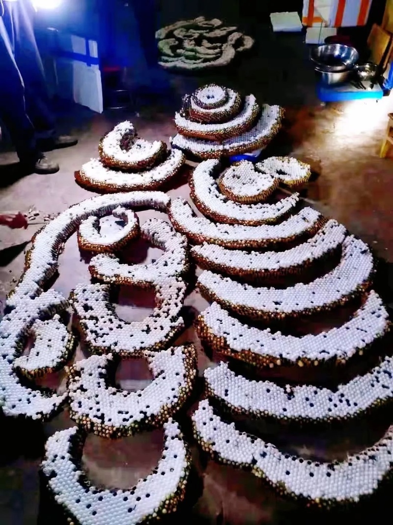 精品蜂巢蜂盘品质保证量大从优价格美丽