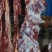 鲜牛肉每天现宰无注水鲜牛肉。。。。。。。