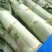 万亩红叶香莴苣大量供应，保质保量，代发代办