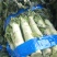 万亩红叶香莴苣大量供应，保质保量，代发代办