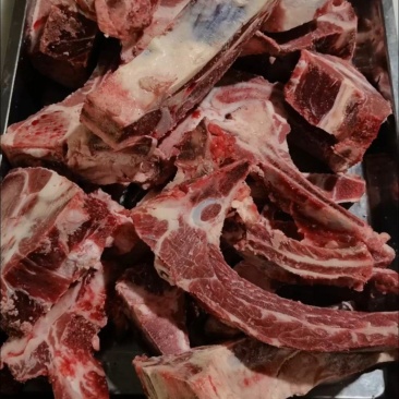 牛脊骨
